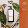 Cremo Rich-Lathering Palo Santo Body Wash for Men, Notes of Bright Cardamom, Dry Papyrus and Aromatic Palo Santo, 32 Fl Oz(Spice & Black Vanilla)